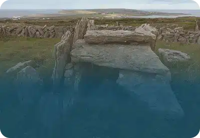 Spot Seals at the Inis Mór Seal Colony